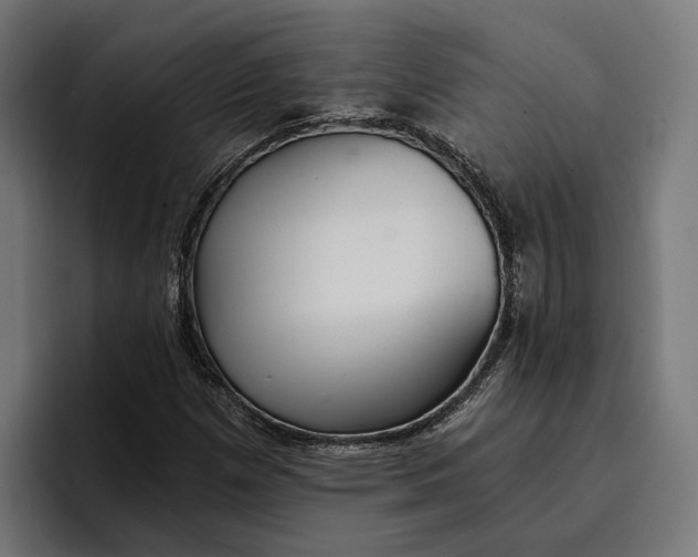 X0000096691257200802191421