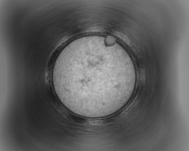 X0000096691258200802191421