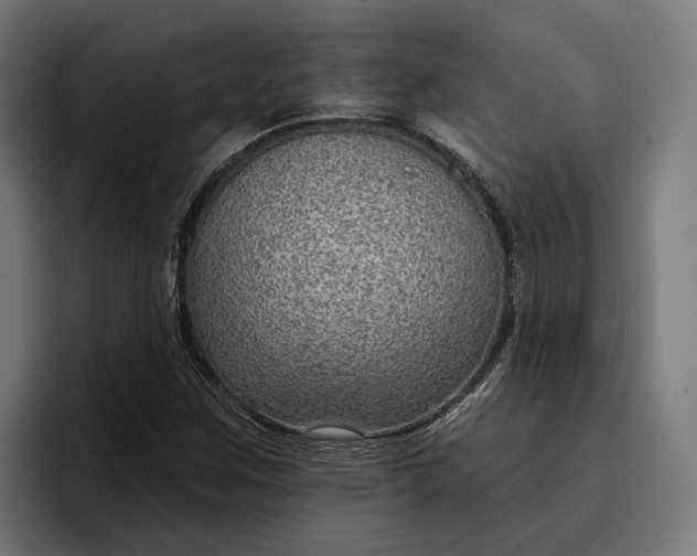 X0000096691259200802191421