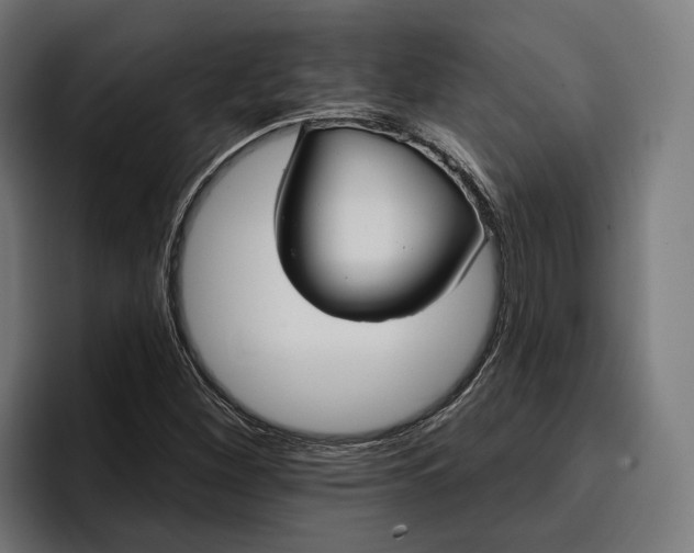 X0000096691260200802191421