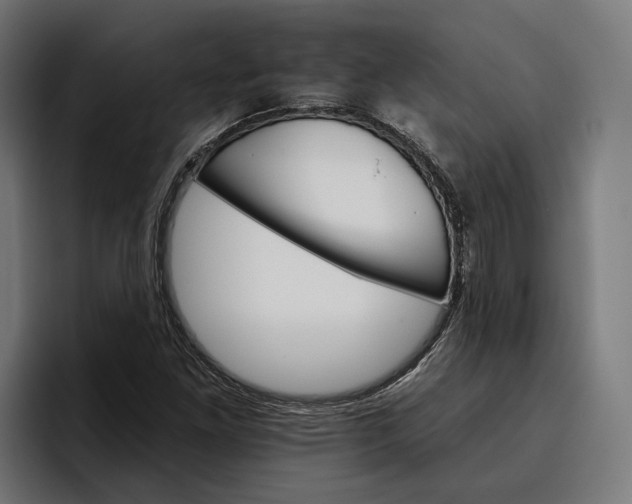 X0000096691261200802191421