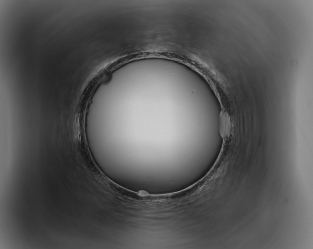 X0000096691262200802191421