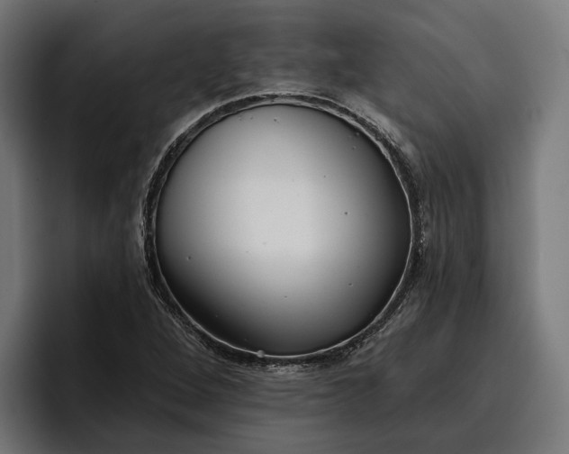 X0000096691264200802191421