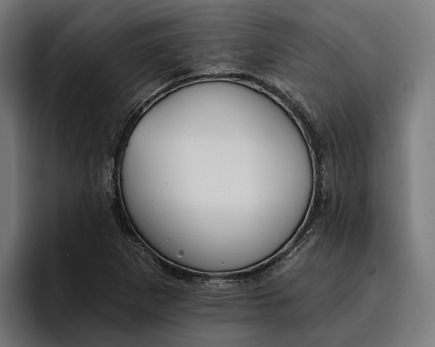 X0000096691265200802191421