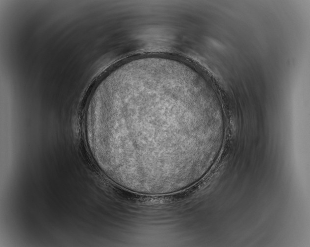 X0000096691266200802191421