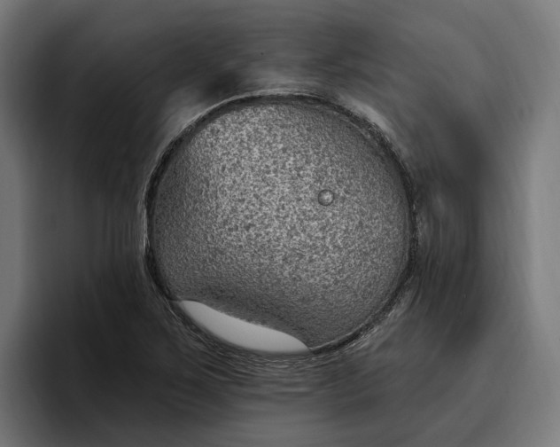 X0000096691267200802191421