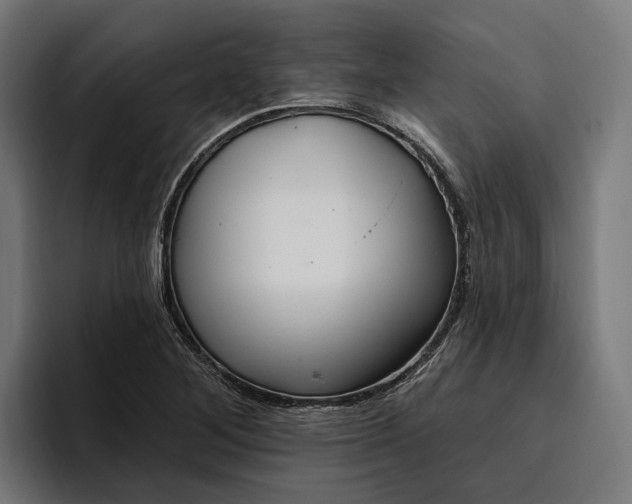 X0000096691268200802191421