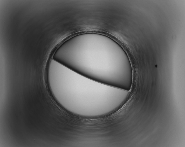 X0000096691269200802191421