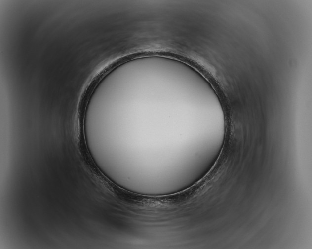 X0000096691270200802191421