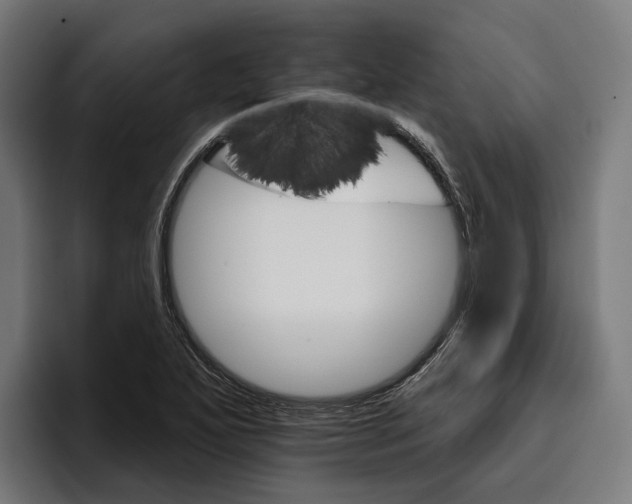 X0000096691271200802191421