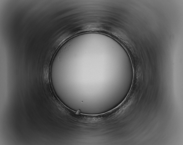 X0000096691273200802191421