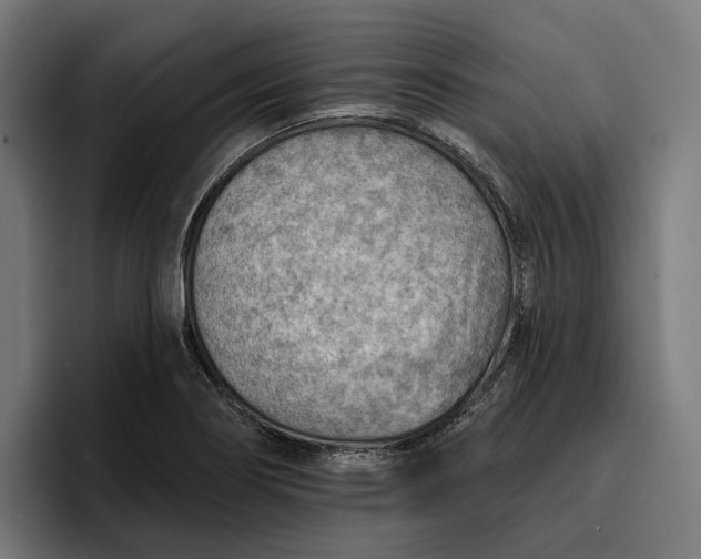 X0000096691274200802191421