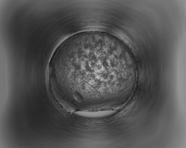 X0000096691275200802191421