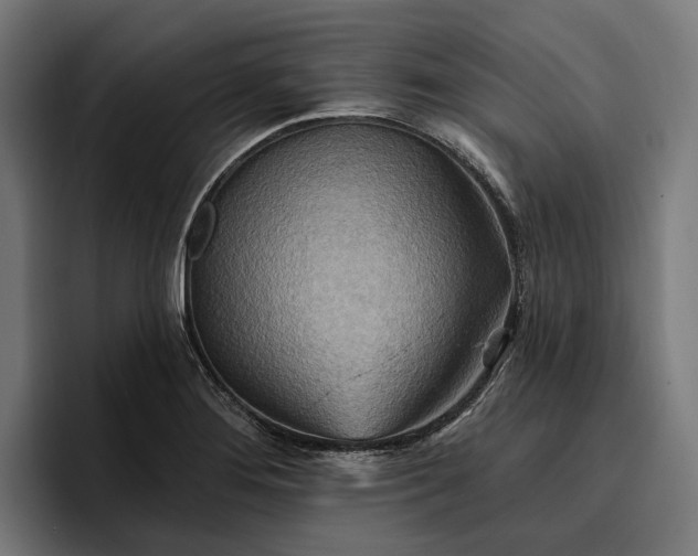 X0000096691276200802191420