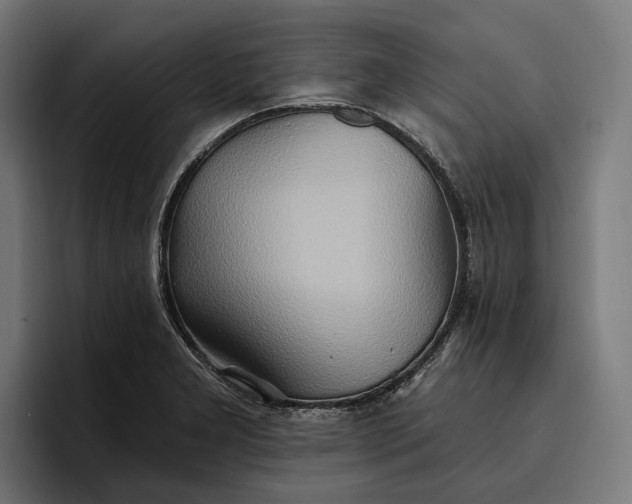 X0000096691277200802191420