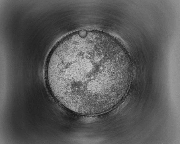 X0000096691278200802191420