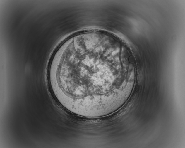 X0000096691279200802191420