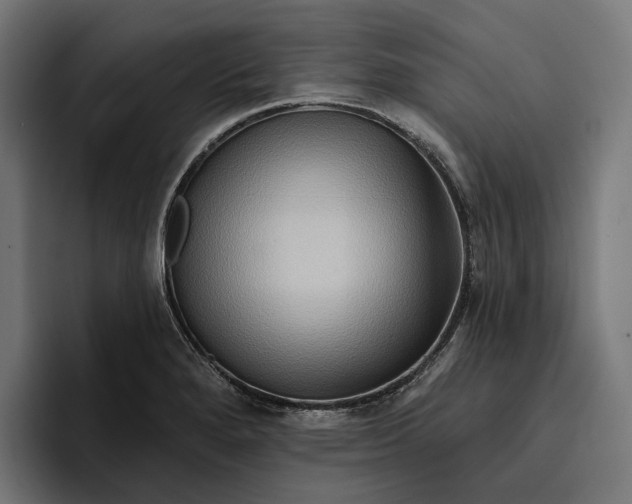 X0000096691280200802191420