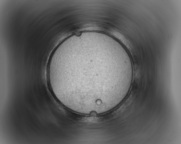 X0000096691282200802191420