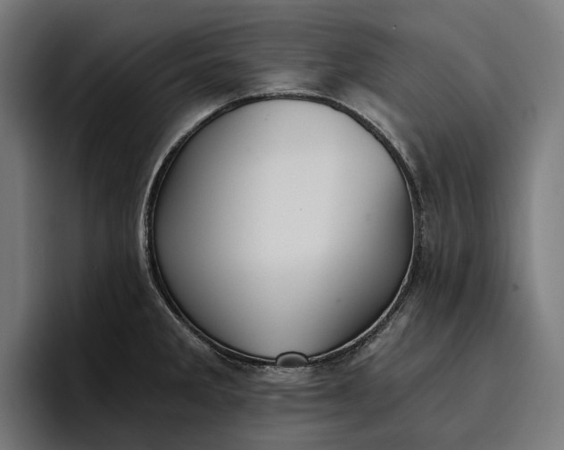 X0000096691285200802191420