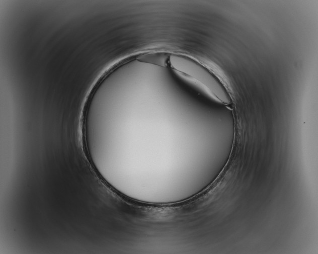 X0000096691288200802191420