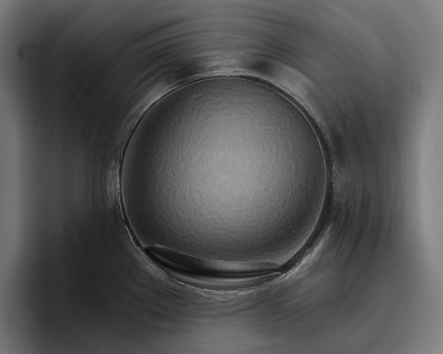 X0000096691289200802191420