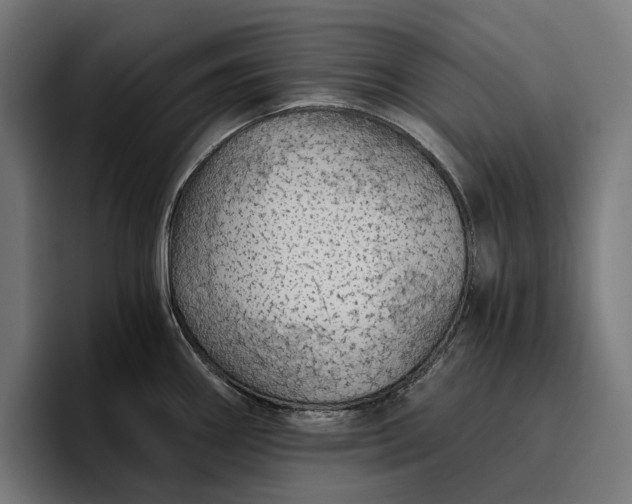 X0000096691290200802191420