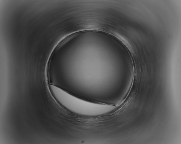 X0000096691291200802191420