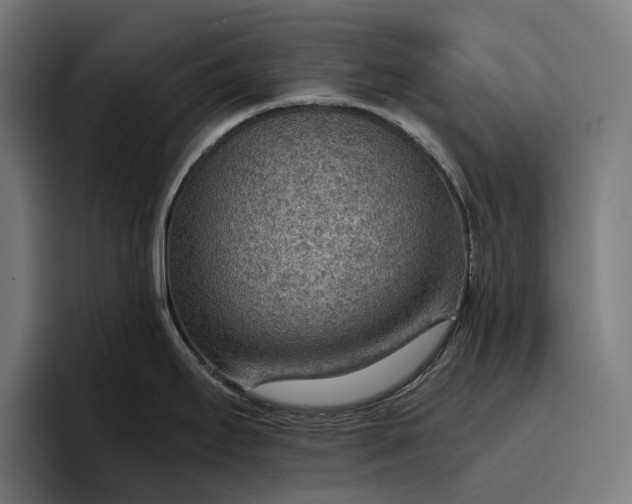 X0000096691295200802191420