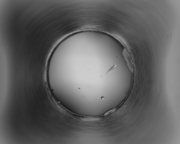 X0000096691296200802191420