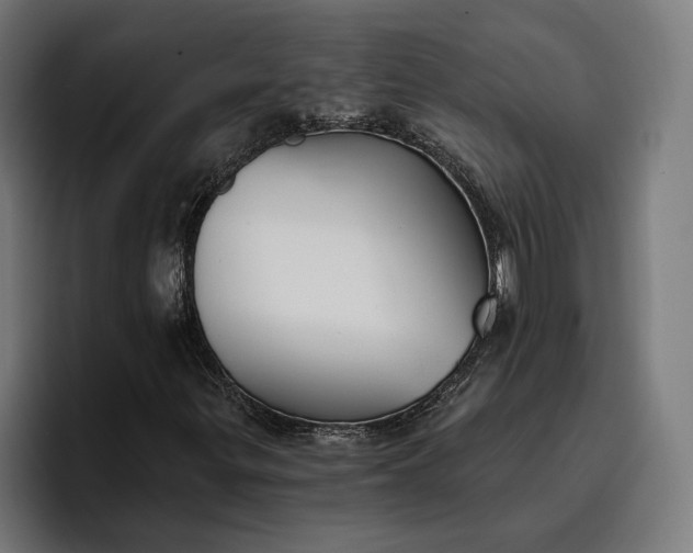 X0000096691299200802191420