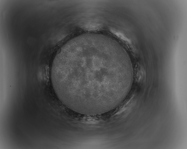 X0000096691301200802191420