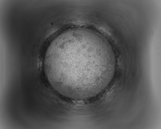 X0000096691302200802191420