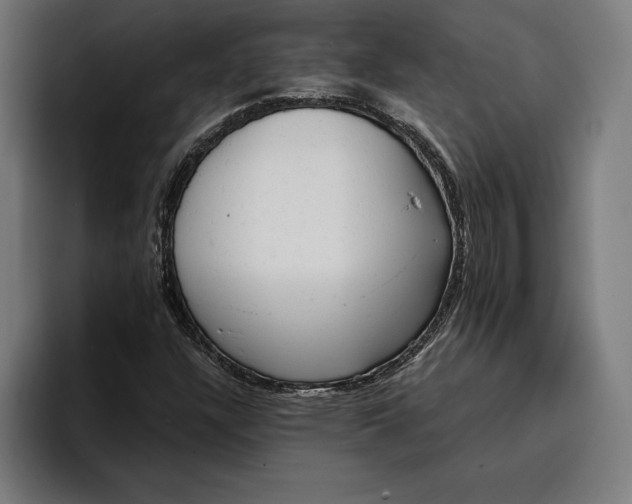 X0000096691304200802191420