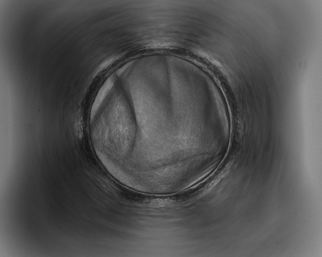 X0000096691306200802191420