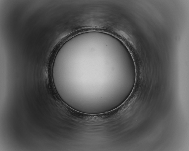 X0000096691307200802191420