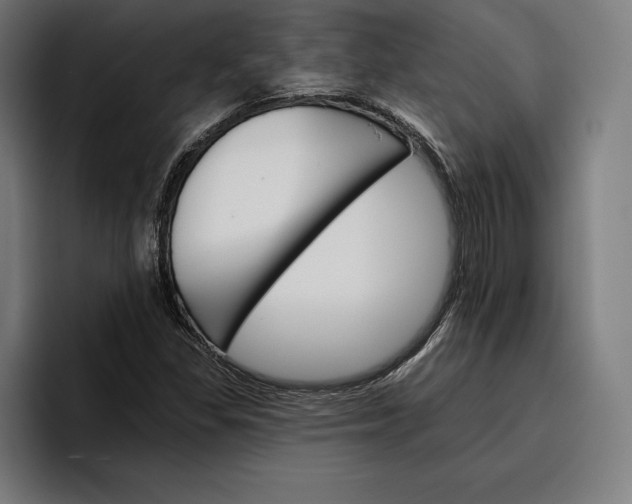 X0000096691309200802191420