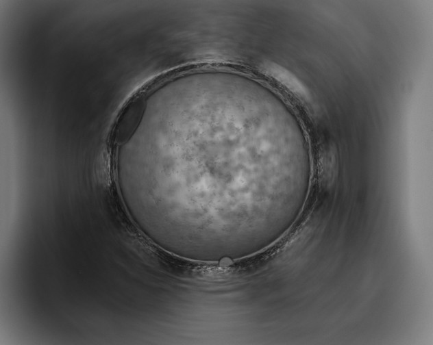 X0000096691310200802191420