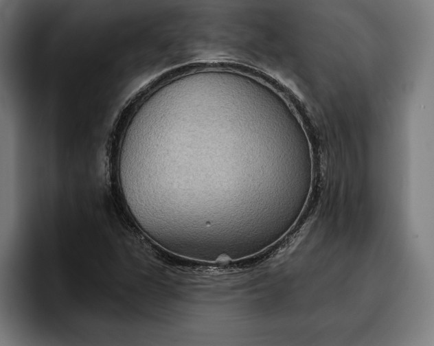 X0000096691311200802191420