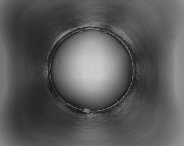 X0000096691316200802191420