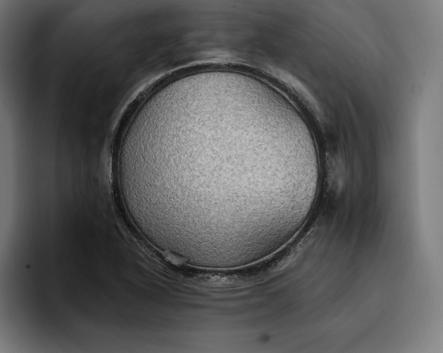 X0000096691318200802191420