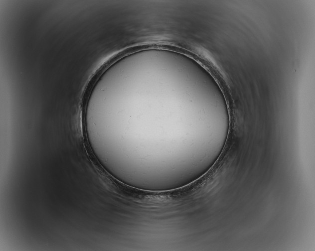 X0000096691320200802191420