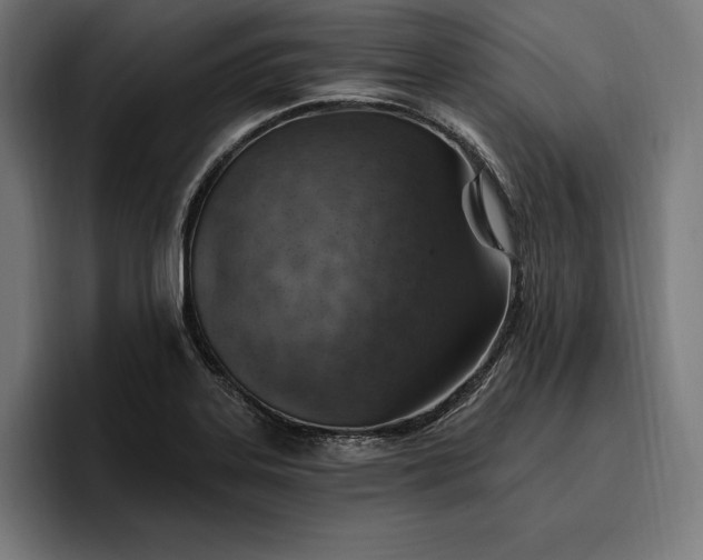 X0000096691323200802191420