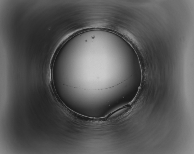 X0000096691324200802191420