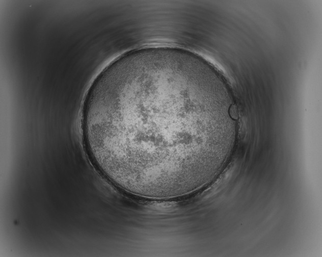 X0000096691325200802191420