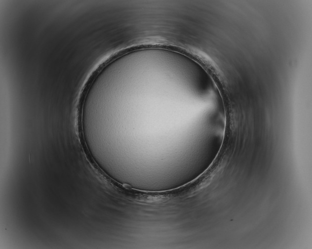 X0000096691326200802191420