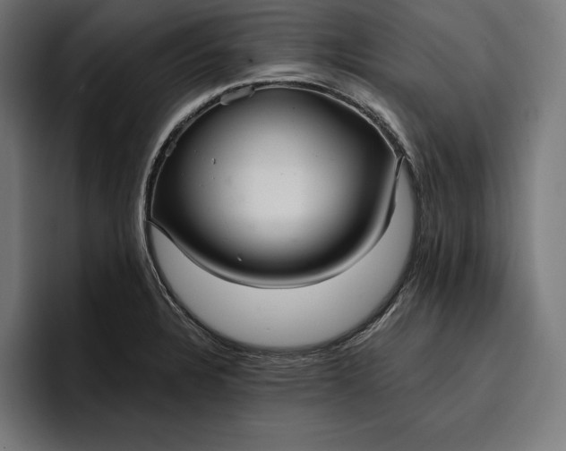 X0000096691328200802191420