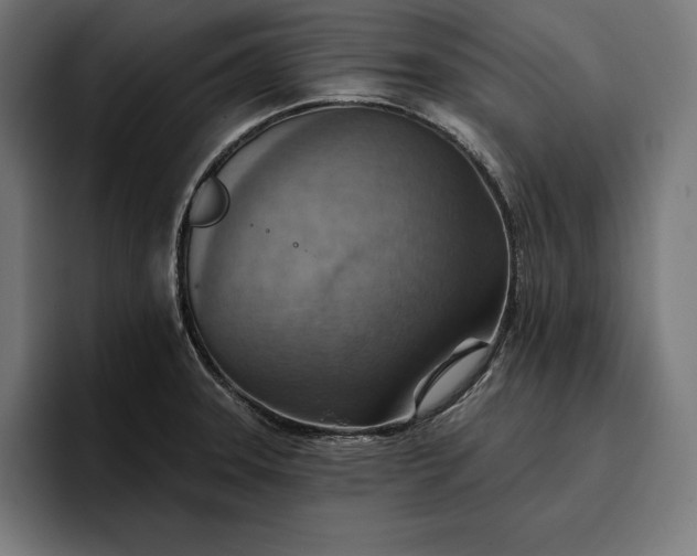 X0000096691331200802191420