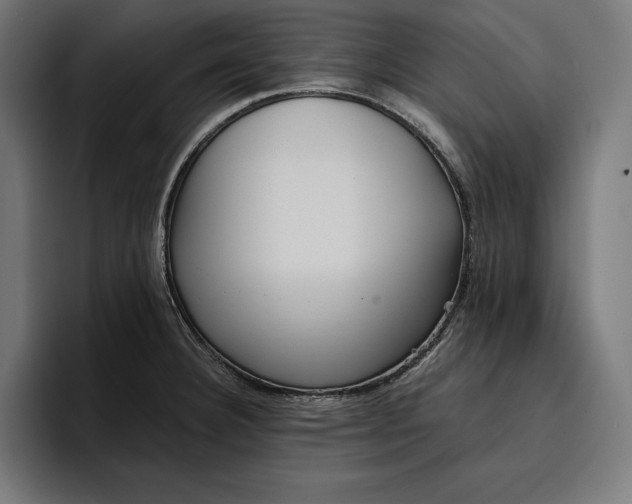 X0000096691332200802191420