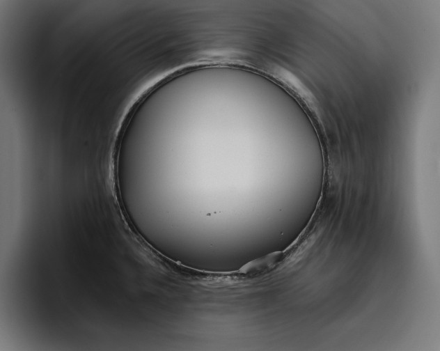 X0000096691336200802191420